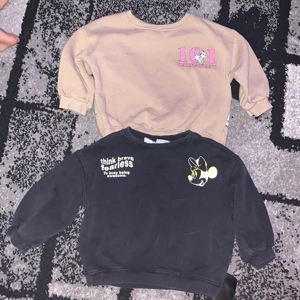 Zara sweatshirts